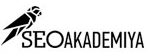 seo-akademiya.com